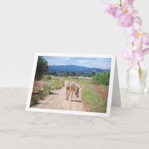 Carte Mule espagnole sur Country Road