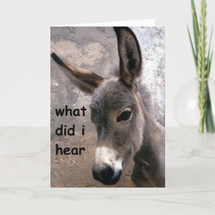 Carte MULE-ISH 50e HUMOUR D'ANNIVERSAIRE ADULTE