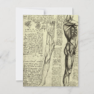 Carte Muscles humains anatomiques de Léonard de Vinci