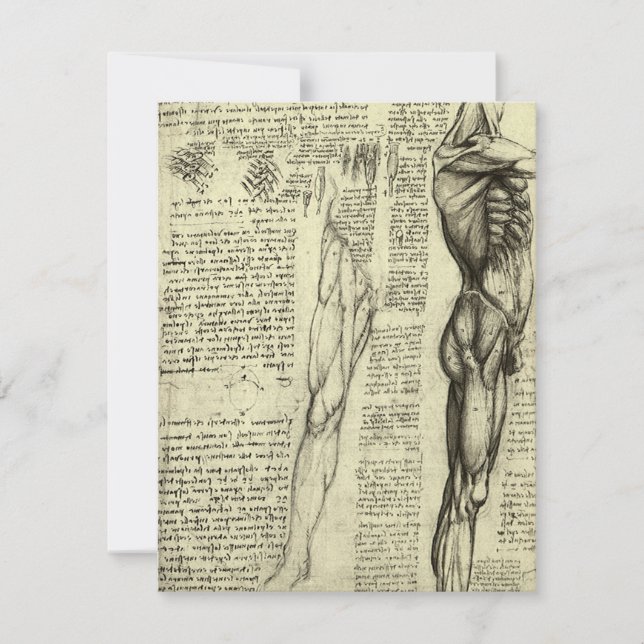 Carte Muscles humains anatomiques de Léonard de Vinci (Devant)