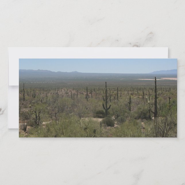 Carte Musée du désert de Sonora (Devant)