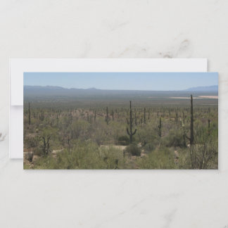 Carte Musée du désert de Sonora