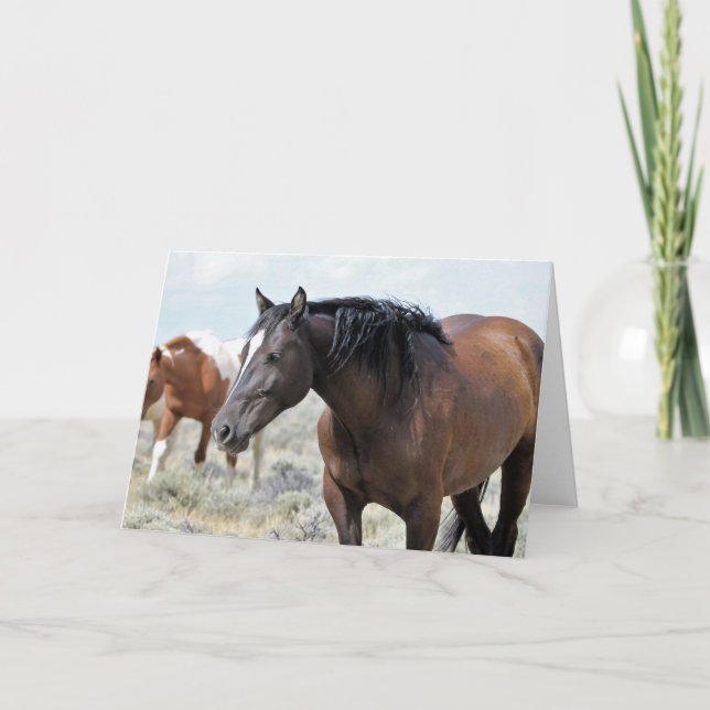 Carte Mustangs sauvages de l'Occident (Devant)