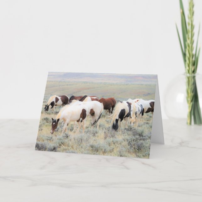 Carte Mustangs sauvages de l'Occident (Devant)