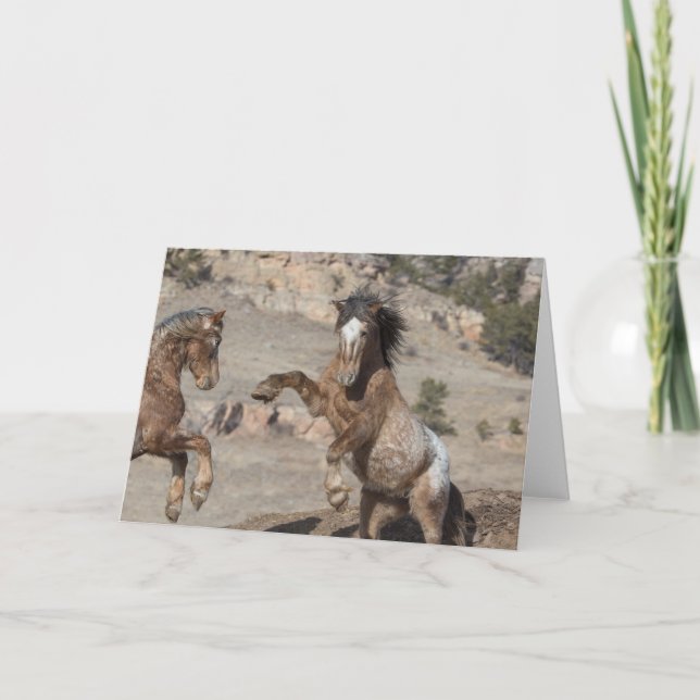 Carte Mustangs Sparring : La Galerie de la liberté (Devant)