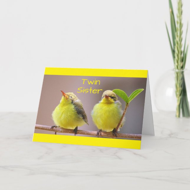 CARTE MY TWIN, MY SISTER, MY BEST FRIEND-BIRTHDAY CARD (Devant)