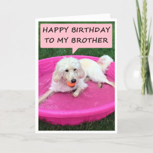 CARTE NAGER CHIEN AIME BROTHER/BEST AMI ANNIVERSAIRE
