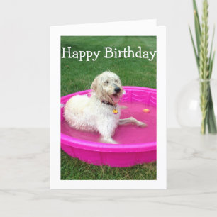 CARTE NAGER LE CHIEN DIT JEUX ANNIVERSAIRE/S'AMUSER COMM