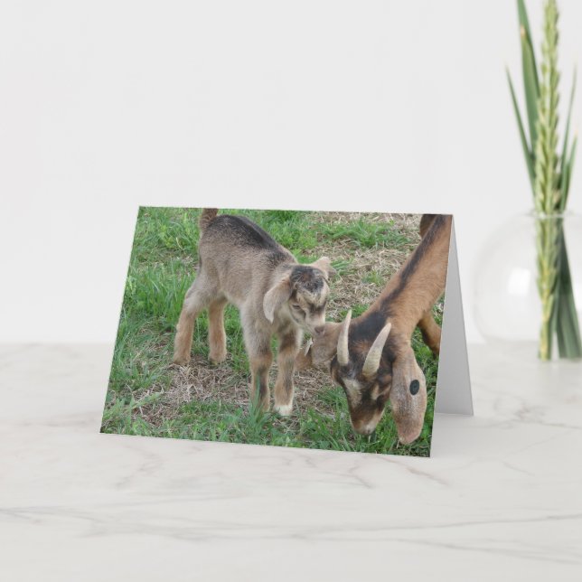 Carte Nanny et Kid (Devant)