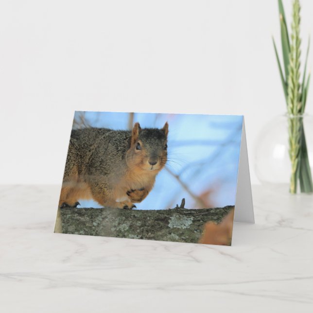 Carte Napoléon (Devant)