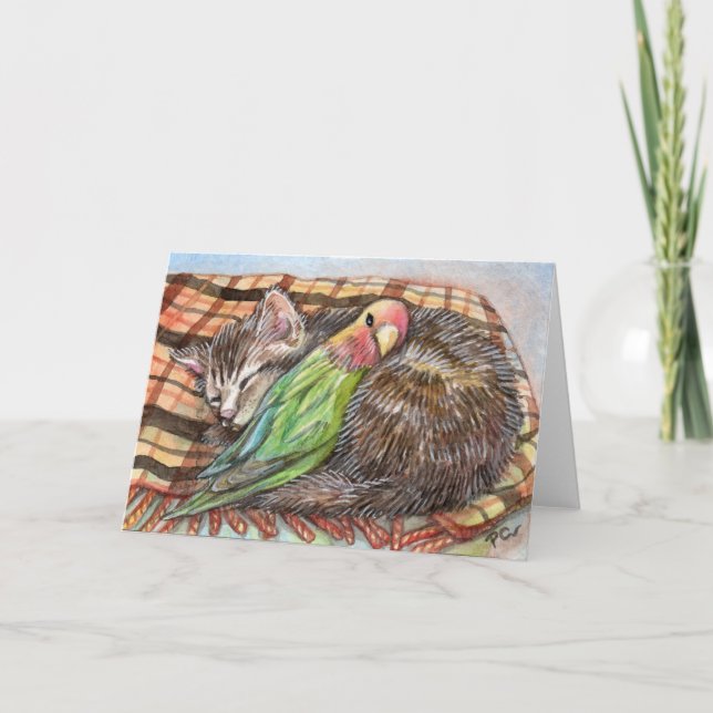 Carte Napping Buddy (Devant)