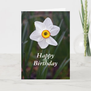 Carte Narcissus Joyeux anniversaire
