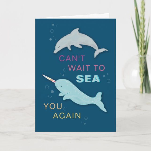 Carte Narwhal Dolphin Friends (Devant)