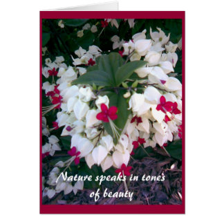 Carte Nature 2