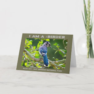 Carte Nature Photographie Shy Blue Jay Birder