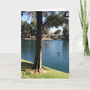 Carte Nature pilotant le frère de joyeux anniversaire