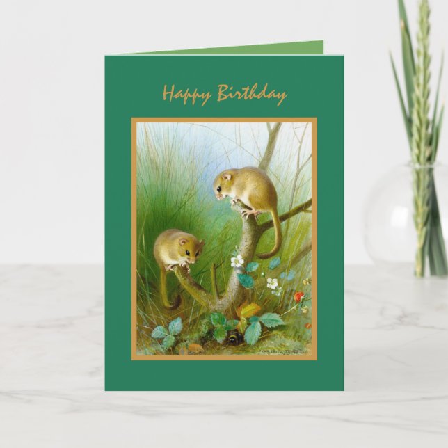 Carte Nature Sauvage Vie mignonne Animaux Joyeux Anniver (Devant)
