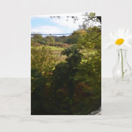 Carte nature way of impersonating animals