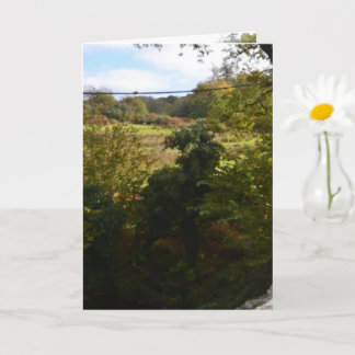 Carte nature way of impersonating animals