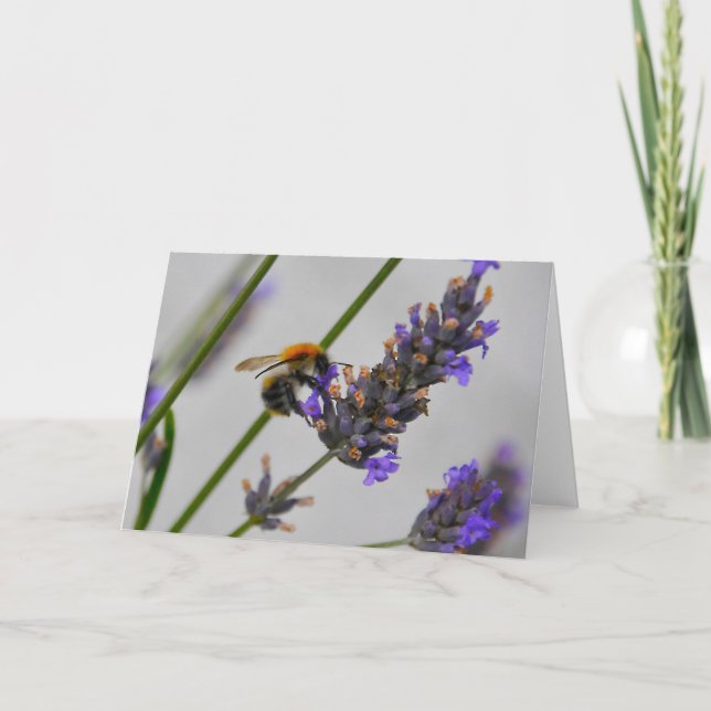 Carte Natures de merveilleux travailleurs (Devant)