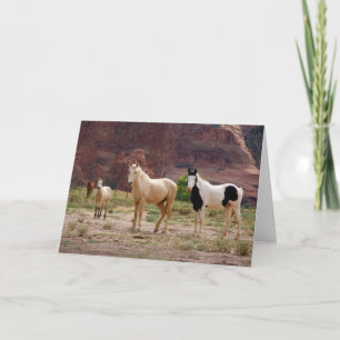 Carte Navajo Horses Run Free sur le Canyon Floor