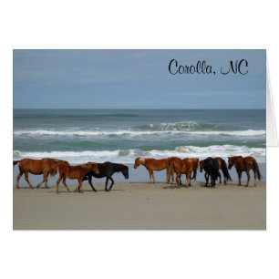 Carte NC Corolla Wild Horses