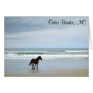 Carte NC Wild Horse Outer Banks
