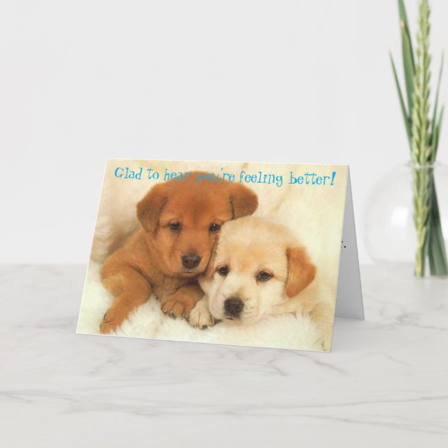 Carte Ne confondez pas l'Icyhot (Devant)