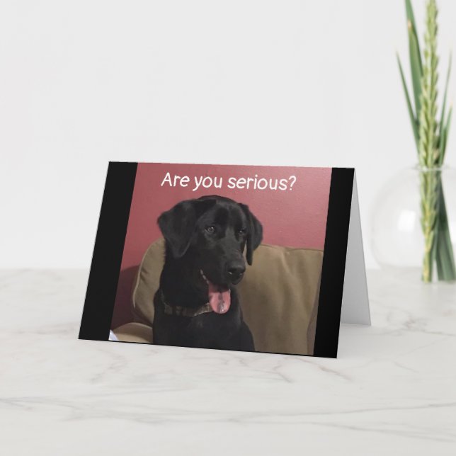 Carte NE CROYEZ PAS QUE VOUS CÉLÉBREZ "20ème" ANNIVERSAI (Devant)