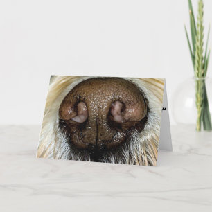 CARTE NE PAS ÊTRE "NOSY" MAIS VOUS TOURNEZ **40**