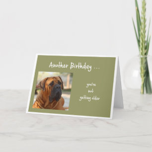 Carte Ne pas obtenir plus vieux plaisir Bulldog Salutati