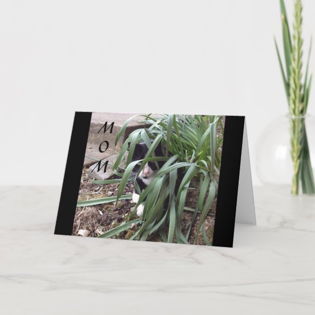 CARTE NE PAS SE CACHER DE LA VÉRITÉ "MEILLEURE MÈRE" DU  (Devant)