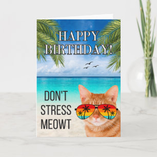 Carte Ne Stress Meowt Drôle Tabby Chat Joyeux Anniversai