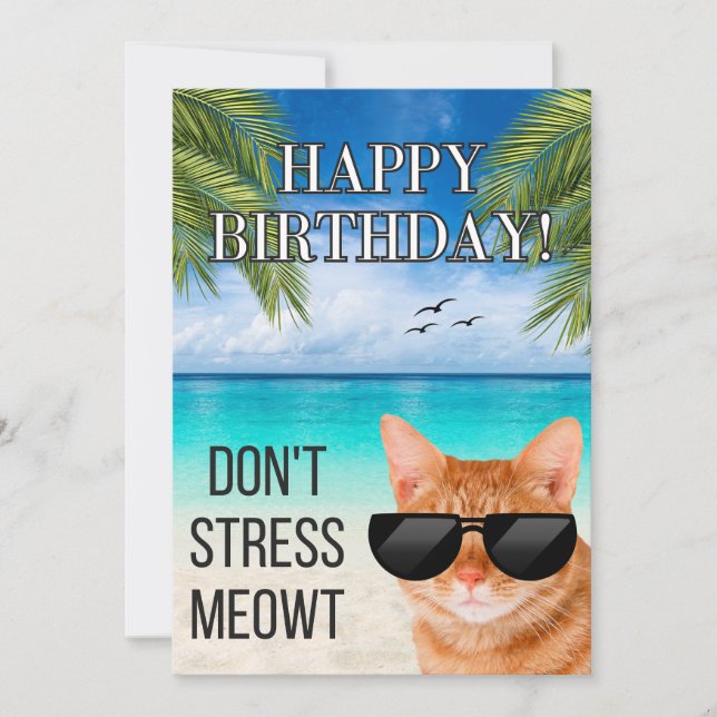 Carte Ne Stress Meowt Drôle Tabby Chat Joyeux Anniversai (Devant)