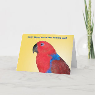 Carte Ne vous inquiétez pas