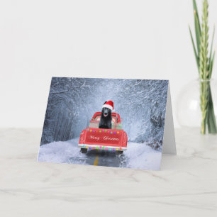 Carte Neige bergère noire allemande assise à Noël