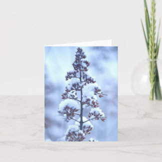 Carte Neige d'avril