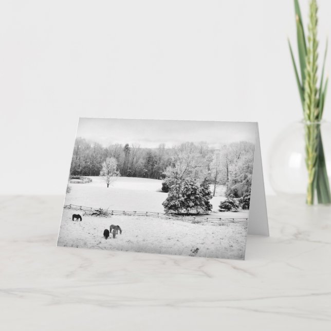 Carte Neige fraîche tombée au ranch du cheval (Devant)
