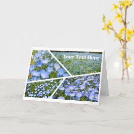 Carte NEMOPHILA（Baby Blue Eyes）