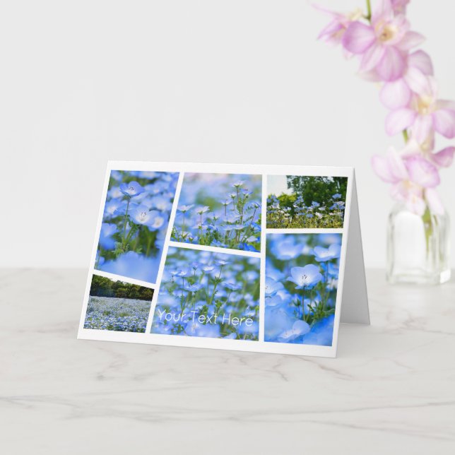 Carte NEMOPHILA（Baby Blue Eyes） (Orchidée)