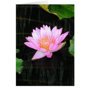 Carte Nénuphar Lotus Rose