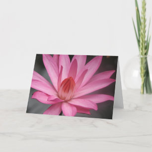 Carte Nénuphar rose