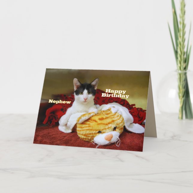 Carte Nephew Happy Birthday Kitten avec Tiger de Jouet (Devant)