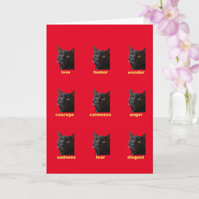 Carte Neuf Émotions De Mon Vecteur De Chat Éteint (Orchidée)