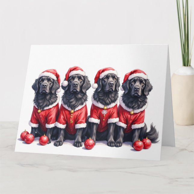Carte Newfoundland Christmas Dress Santa Hat (Devant)