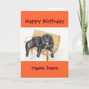 Carte Newfoundland Dog Happy Birthday ajouter le nom