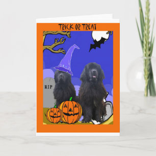 Carte Newfoundland Dogs Halloween