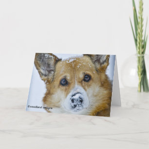 CARTE NEZ DE NEIGE DE CORGI DE GALLOIS DE PEMBROKE