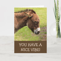 Nice Vibe Donkey Joyeux anniversaire