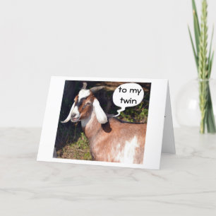 CARTE NO KIDDING SAYS GOAT-HAPPY BIRTHDAY TWIN
